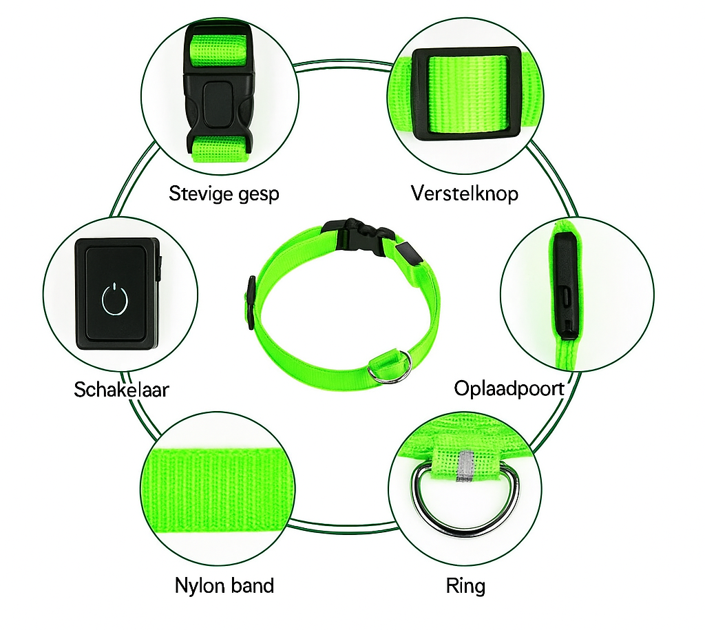 LED Veiligheids-Halsband voor Honden – Oplaadbaar & Verstelbaar