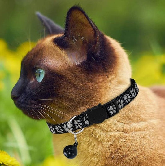 Mini TrackMyPetz GPS-tracker